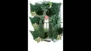 Free download [Place] project; short collage animation video and edit with RedcoolMedia movie maker MovieStudio video editor online and AudioStudio audio editor onlin